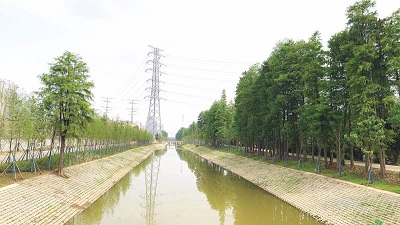 1531455423598.jpg 1531455423598.jpg